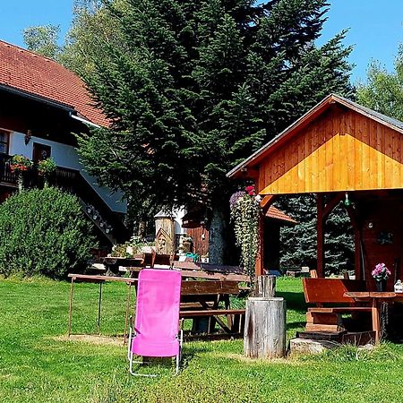 Ubytovani V Sumavskem Dome Nove Hute Exteriör bild