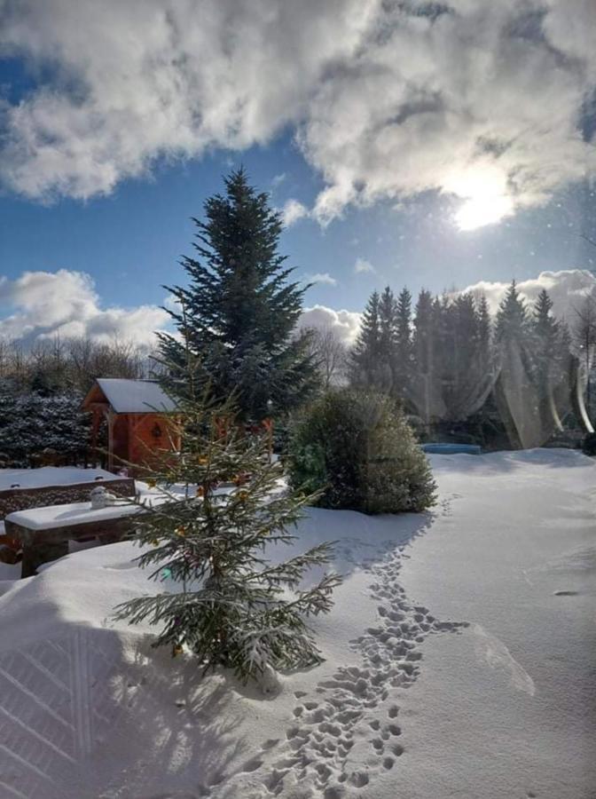 Ubytovani V Sumavskem Dome Nove Hute Exteriör bild
